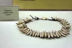 Necklace of fox teeth